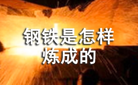 作文 《钢铁是怎样炼成的》读后感