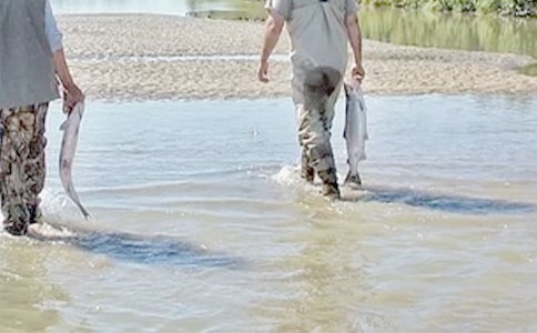 ��С�ź����ĸ��Ƕ������