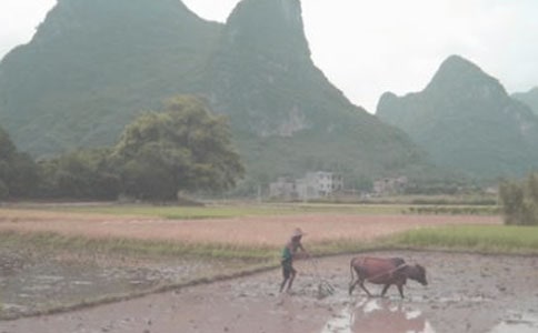 耕田,开垦丰美的家园散文