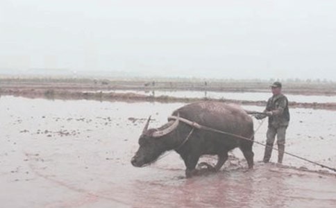 ����и�ϲ����-��ȫ����ʳ���������