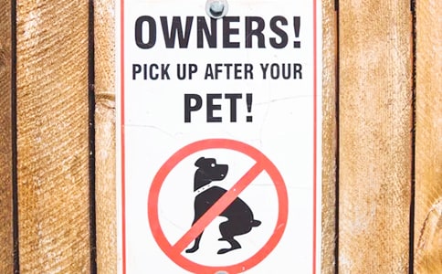 ��������������������