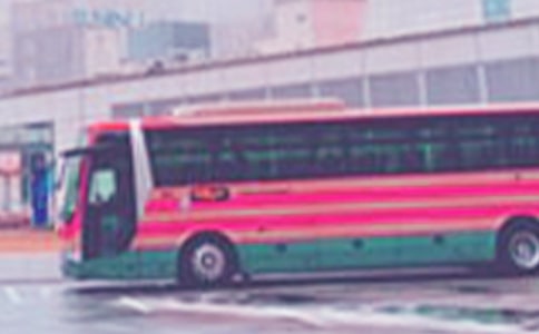 �ڹ���������