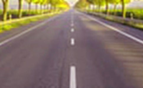 ��·��ѩ��