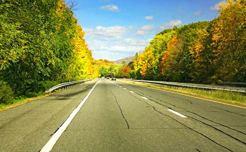 ��·������������