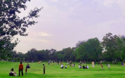 东龙门湖公园作文