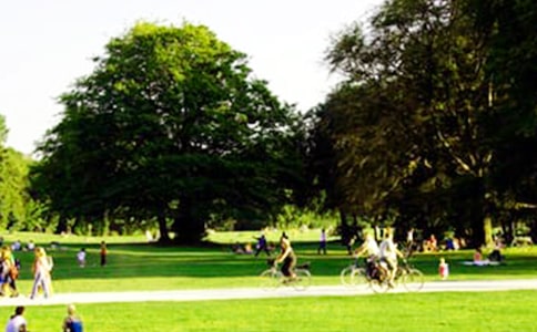 ������԰���δ�