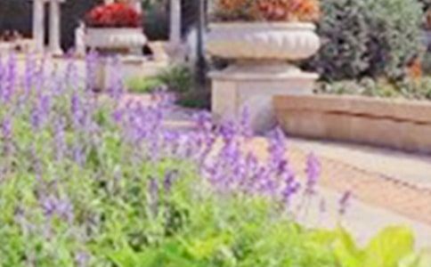 ���ϴ����԰�ĵ��δ�