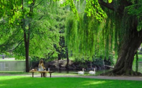 年度大连金石滩滨海国家地质公园工作总结