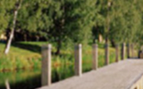 公园的作文250字(精选44篇)