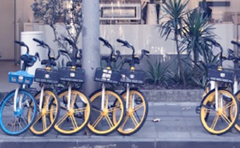 共享单车五年级作文(精选34篇)