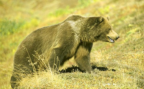 ��ѡ��������500��3ƪ