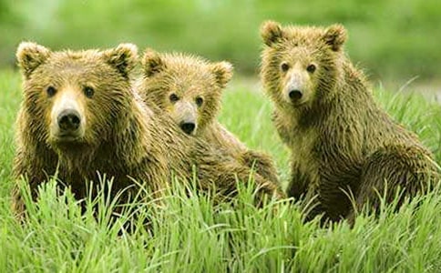 ����������������500��4ƪ