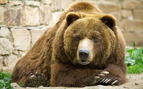 �����ܡ��ְ����ģ�ͨ��8ƪ��