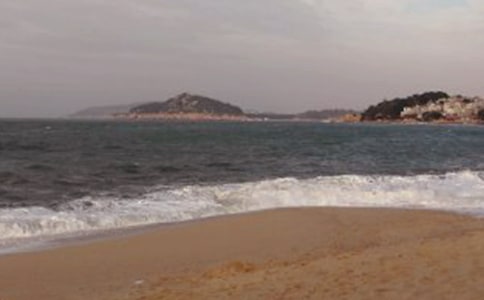 关于鼓浪屿的优秀作文(精选28篇)