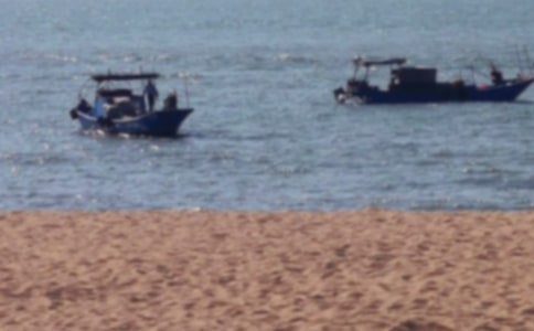 ���Ź���������