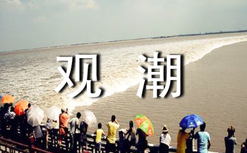 观潮第一课时教案