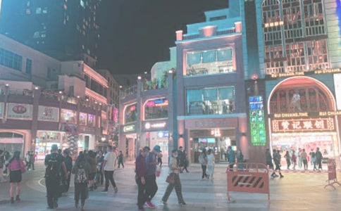 友谊之歌——《时代广场的蟋蟀》读后感