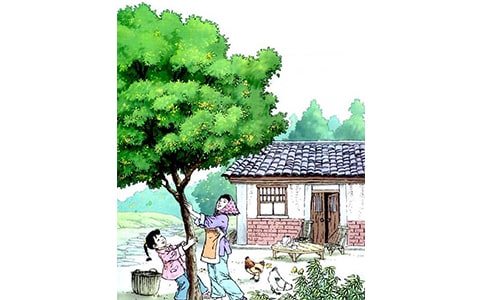 ����������ĵ�