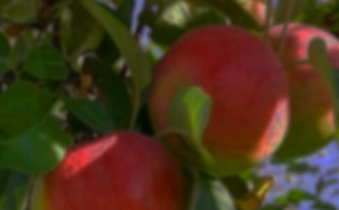 �����Ĺ�԰����