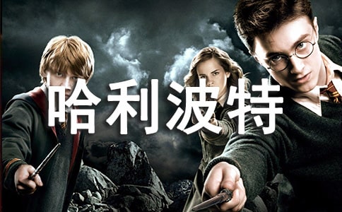 读《哈利波特》系列丛书有感1000字