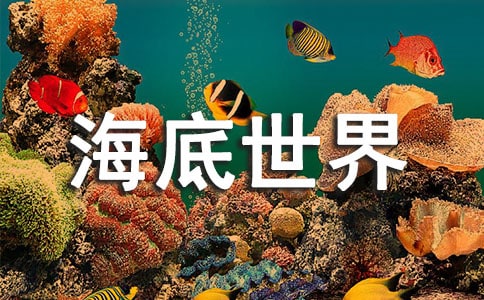 幼儿园中班《海底世界》美术教案