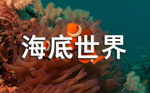 大班语言活动方案美丽的海底世界