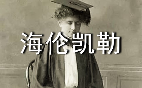 ���ں��׿��ն����