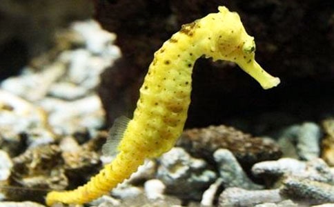 上海马戏团简介