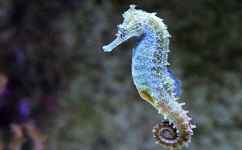 С����������300������