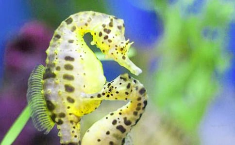 �йغ�������300��4ƪ