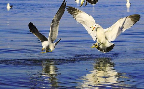 ��Ÿ���ռ�