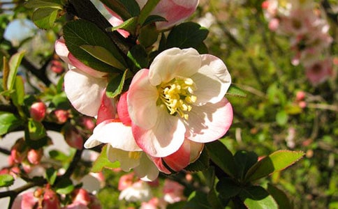 ���������̷ʺ���700�����ģ�ͨ��25ƪ��