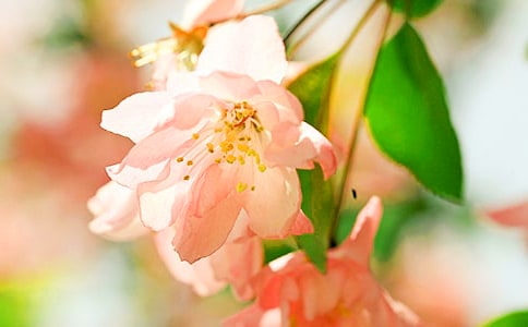 �����ĺ��Ļ�����