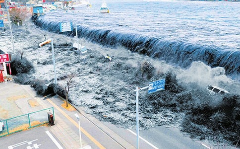 ��ֵĺ�Х����