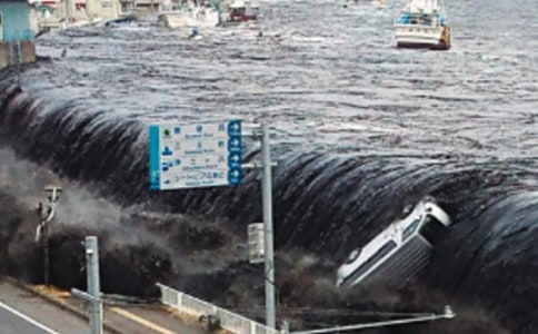 ��Х��������������