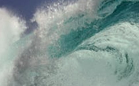 ��Х����_800��