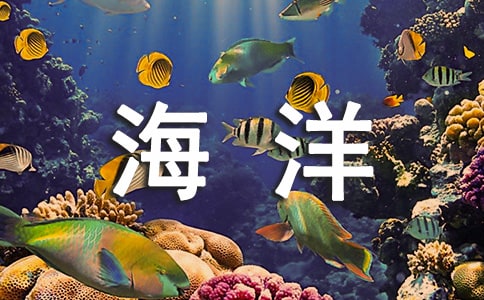 大班美术活动--《海洋里的鱼》