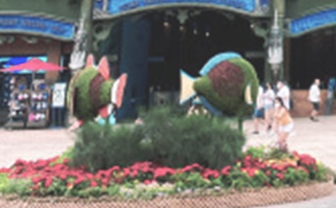 游香港海洋公园小学叙事作文