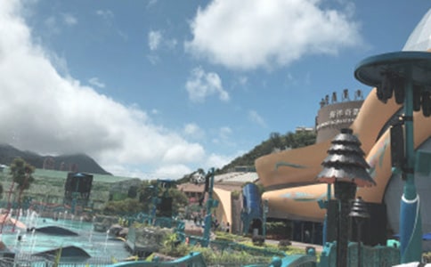 �ϻ�̲����԰���δ�