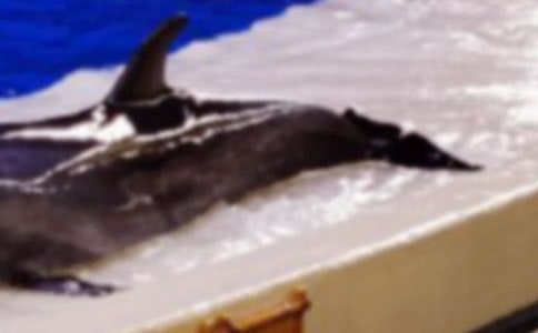 �������塷�ۺ�У�ͨ��18ƪ��