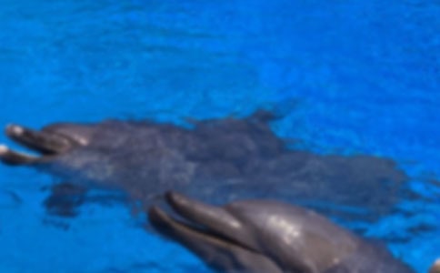 С���ඡ��������