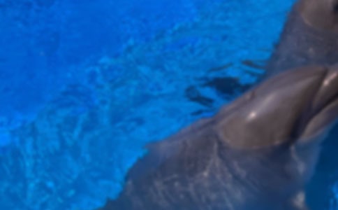 ���� ������Ĺ���