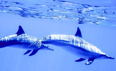 ����ɫ�ĺ��ൺ�и�700��