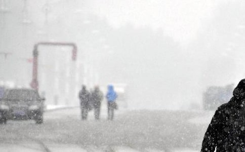 Ԥ��������������ѡ5ƪ��