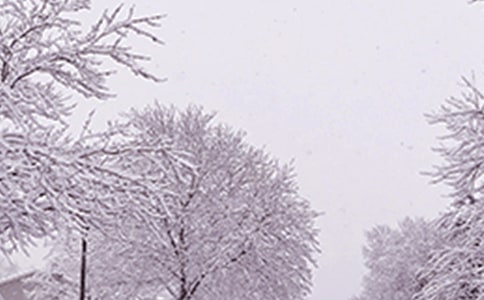 寒潮来了作文(精选11篇)