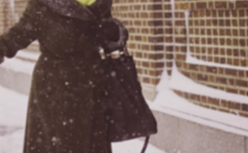 寒潮过境作文范文(通用16篇)