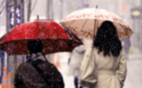 今年寒潮作文范文(精选12篇)