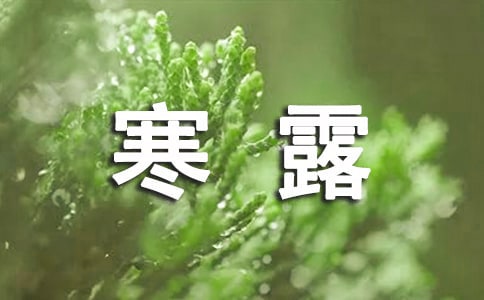 关于幼儿园寒露的教案(精选13篇)