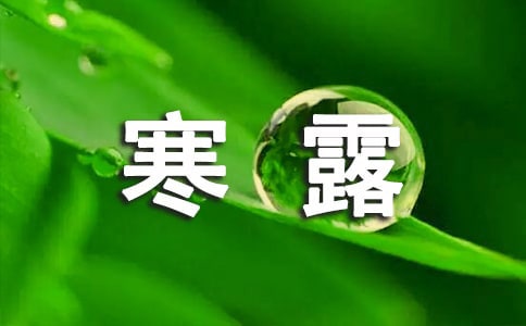 幼儿园中班寒露教案范文(通用12篇)