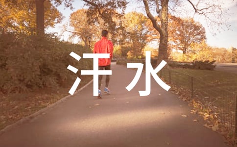 (精)汗水换来的欢笑作文